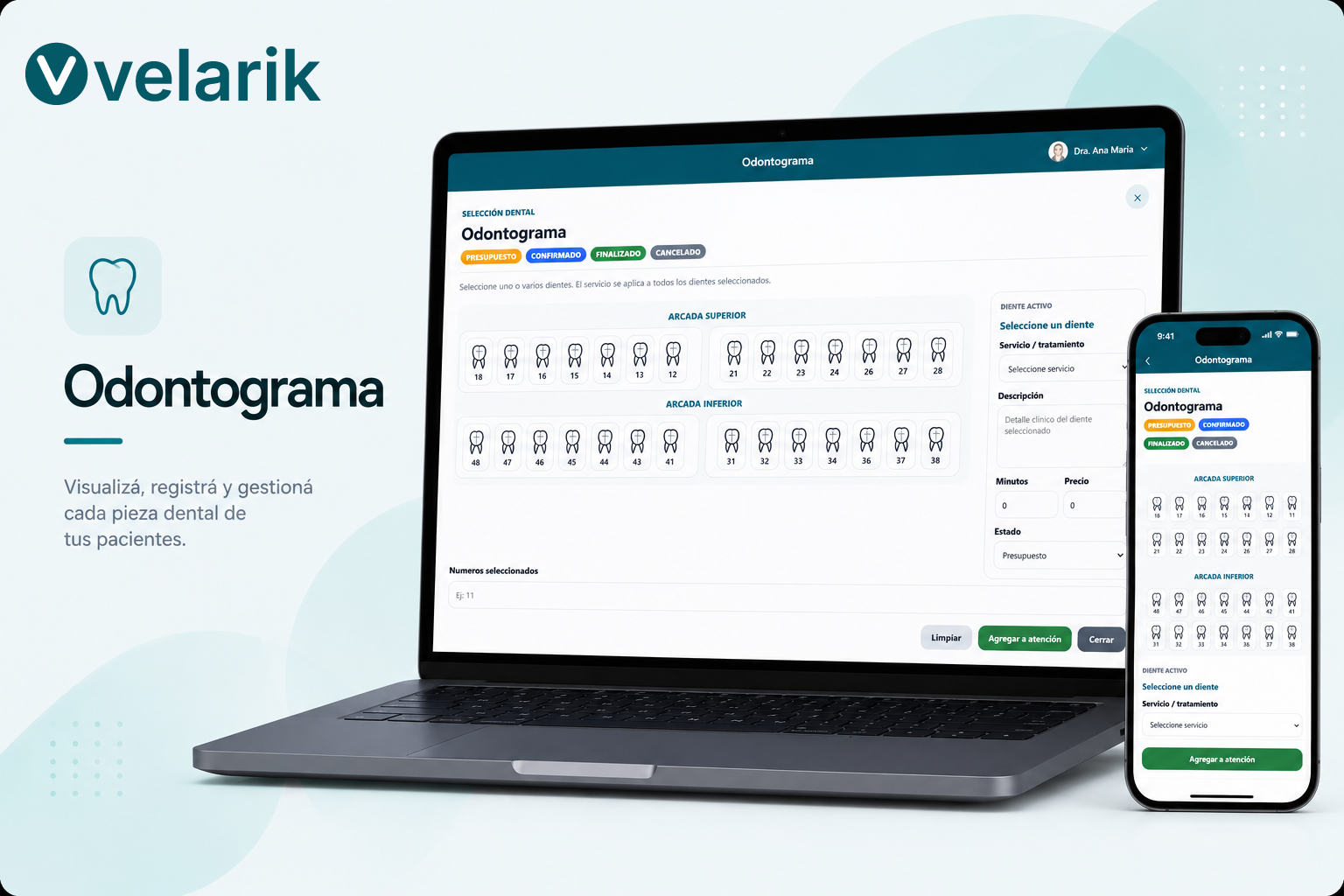 Odontograma en Velarik